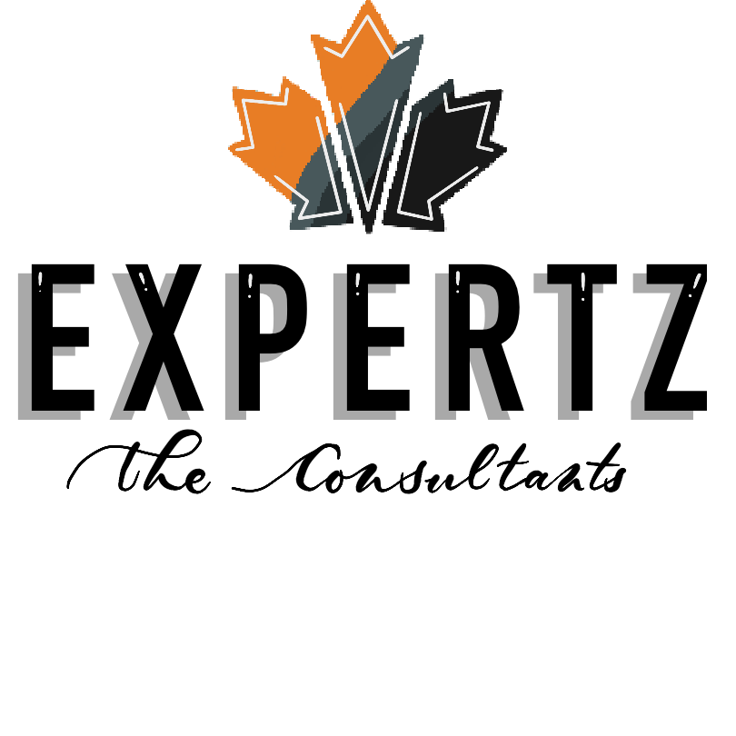 Expertz - The Consultants